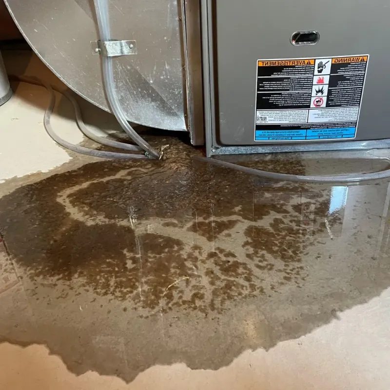 Pipe Burst and Leak Restoration in Henryville, IN