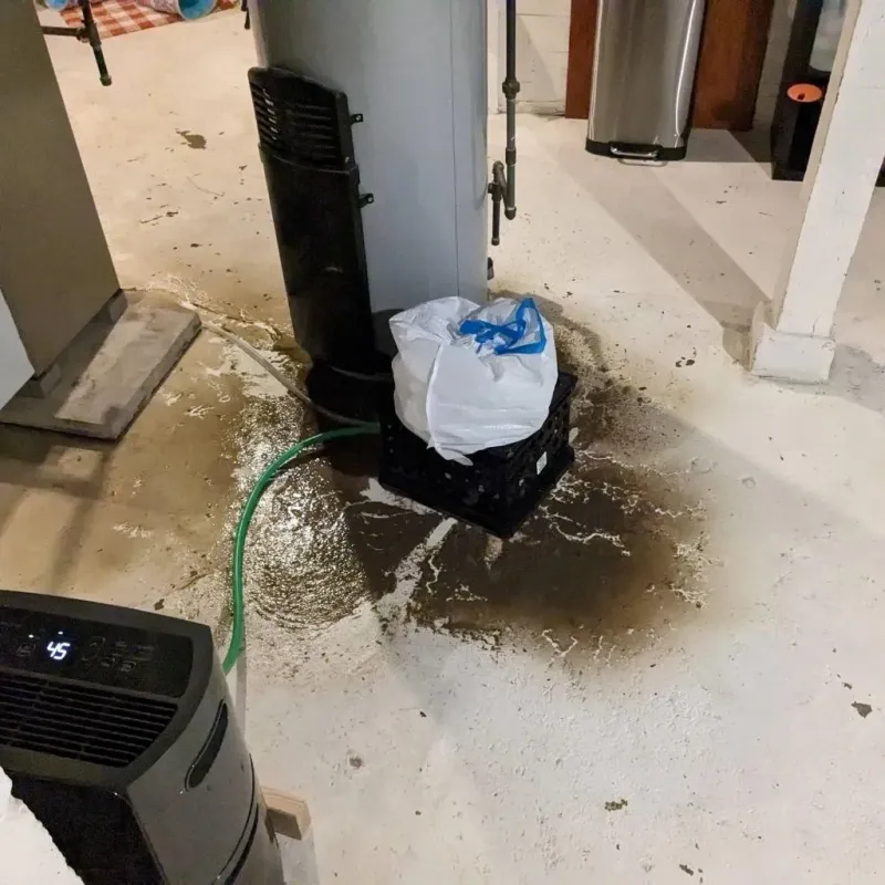 Sewage Backup Cleanup Service in Henryville, IN